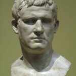 agrippa adulto