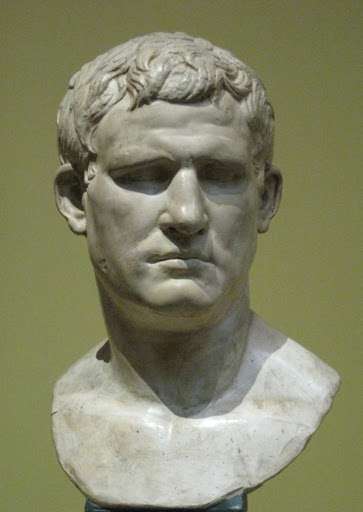 agrippa adulto