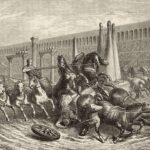 circoMassimo corsa