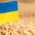 Economia dell'Ucraina