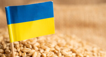 Ucraina. L’economia, l’export e le finanze del paese