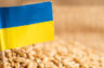 Ucraina. L’economia, l’export e le finanze del paese