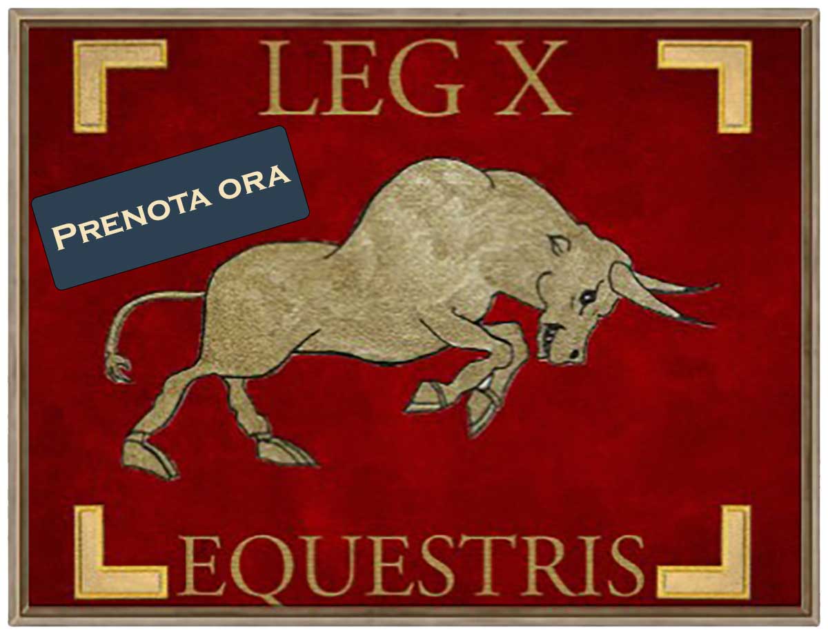 Legio X Equestris