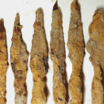 Trovato tesoro romano in Polonia