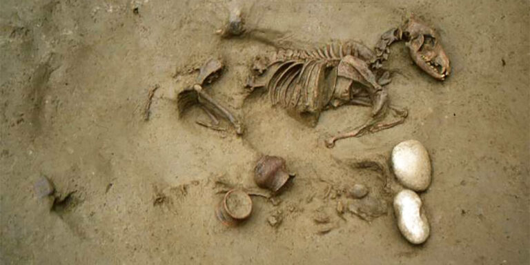 Popolo pre romano seppelliva morti insieme a cani e cavalli