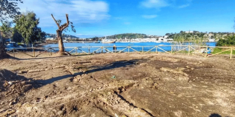 Villa di Plinio il Vecchio