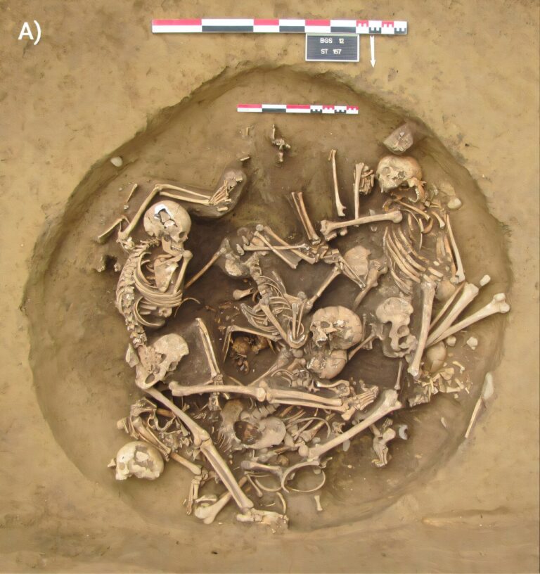 Francia. Tombe neolitiche rivelano rituali raccapriccianti contro gli invasori