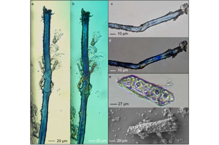 Dzudzuana. Scoperte tracce di colore blu usato dagli uomini del Paleolitico.
