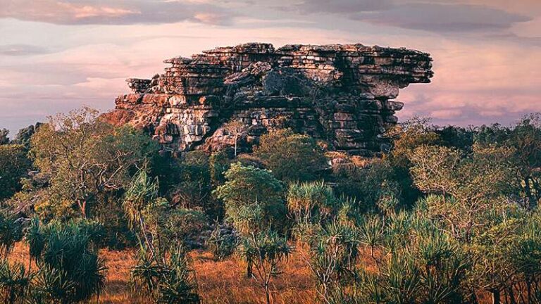 Come gli indigeni usano la tecnologia per salvare l’arte di KAKADU.