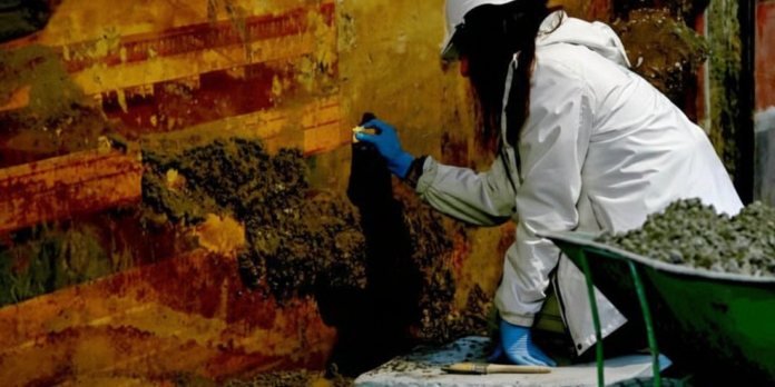 Pompei_Gemini_Modificata