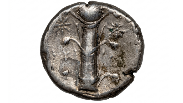 Il Silphium: Ascesa e scomparsa di un tesoro della farmacopea antica