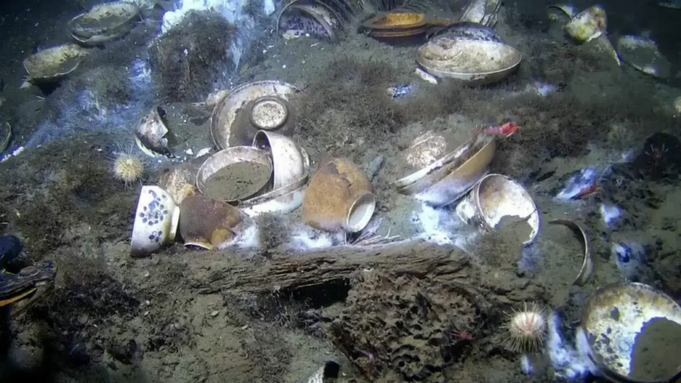 Underwater seabed littered with rusted metal pots and containers among sand and coral.
