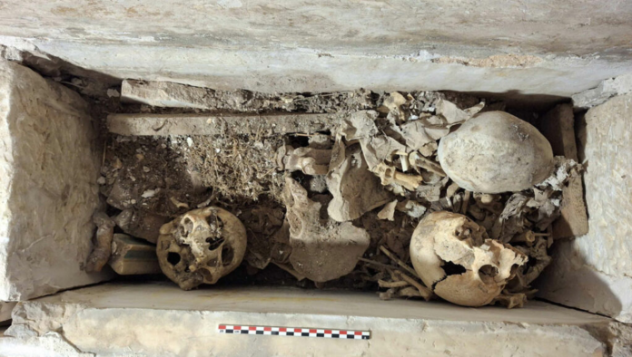 Regina Archaeological excavation with skeletal remains and debris inside a stone-lined trench, a measuring scale visible at the bottom.