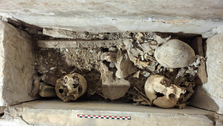 La regina Elisenda non era sola: ferite da lama e corpi mummificati nel cuore di Barcellona