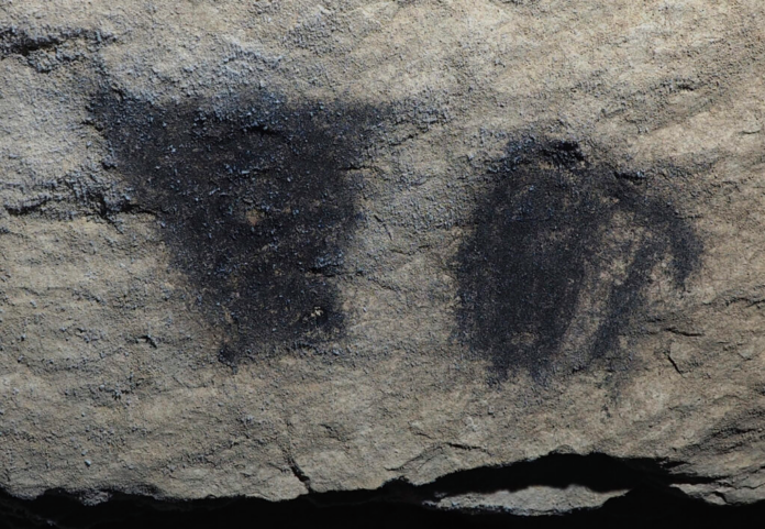 Rough rock surface with two large dark patches or stains, resembling oil slicks on stone