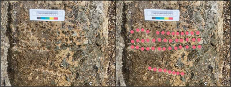 Rock surface with a color calibration card for scale (left image).