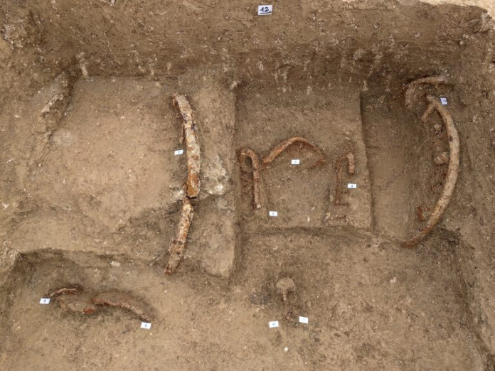 Archaeological dig showing several rusty iron rings and bent metal fragments laid in a trench with labels