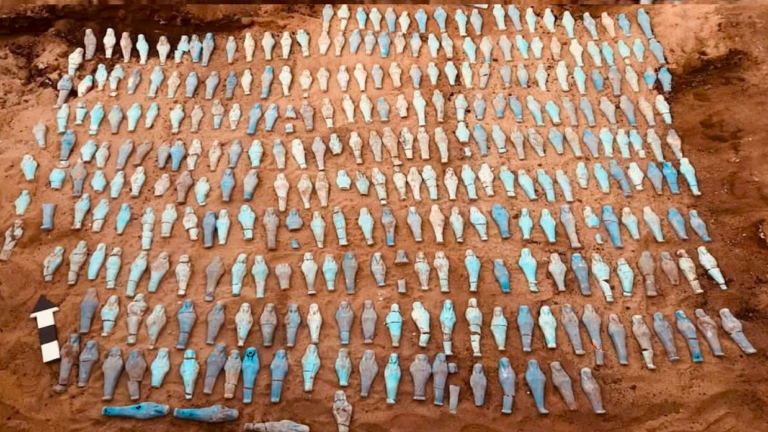 Dozens of small fish laid out in uniform rows on red dirt, likely cataloged as specimens for study or drying.