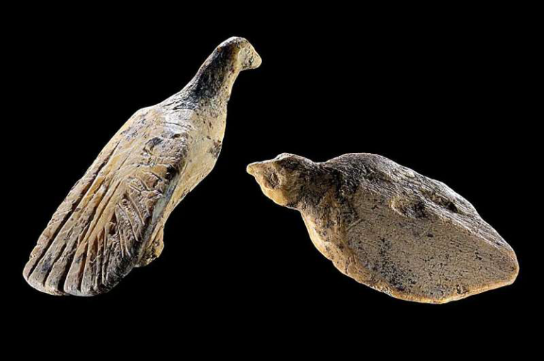Two fossil-like objects on a black background, resembling antiquated seeds or bones side by side for scale/study purposes.