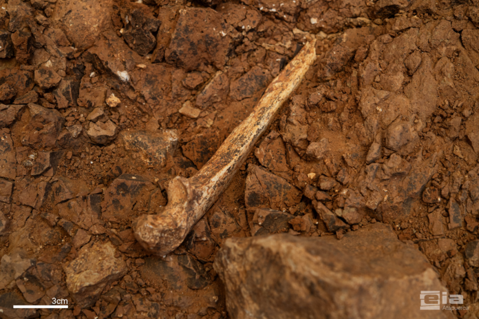 Osso Bone fragment partially exposed in reddish excavated soil, with a 3 cm scale bar for size reference.