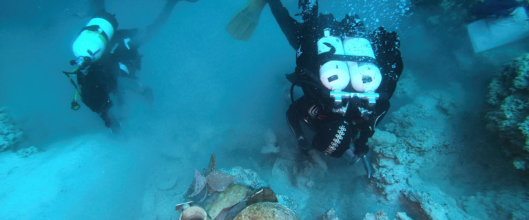 Two scuba divers explore the seabed among coral, with a sea turtle resting on the ocean floor.
