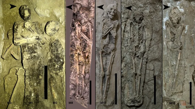 Sedici mummie e un cane raccontano la storia di Tebe