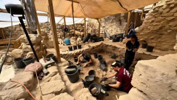 Legno bruciato Archaeologists excavating a stone-walled site under a tan tarp, kneeling among black buckets and soil with tools and pottery fragments.