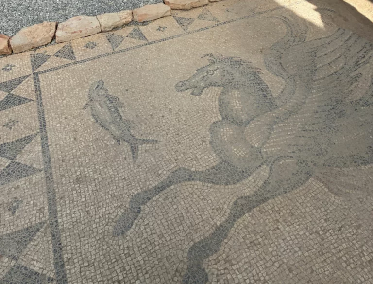 Il mosaico dell’ippocampo riemerge in Turchia