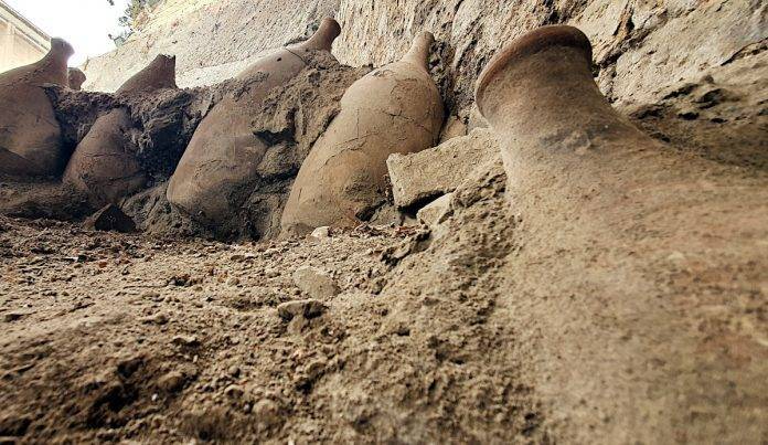 Vasi_Oplontis Row of ancient clay pots partially buried in a dirt trench along a wall, exposed and weathered by the ground