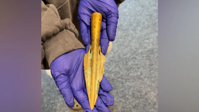 Hands in purple gloves holding a large, brown, triangular spearhead-like artifact over a gray surface.