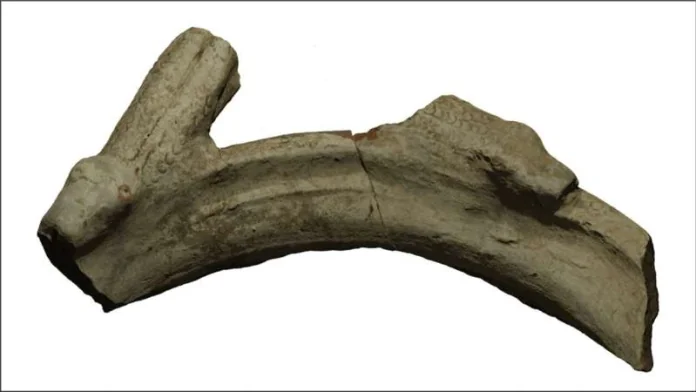 Curved fossil bone fragment with rough broken ends on a white background