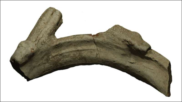 Curved fossil bone fragment with rough broken ends on a white background